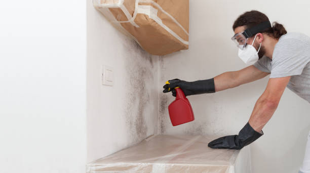 Professional Crawl Space Mold Remediation technician working in Milton, FL