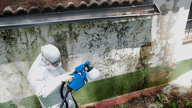 Top rated local Crawl Space Mold Remediation specialists in Milton, FL